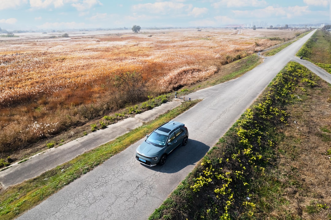 Photo Chevy Silverado Trail Boss: Truck, Off-road